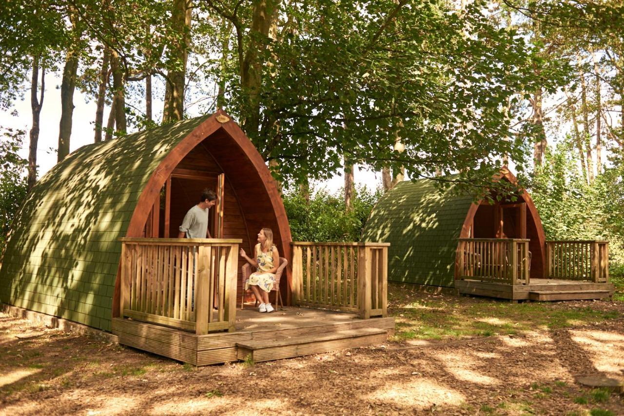 Pinewood - At Port Lympne Reserve Hythe  Exteriör bild