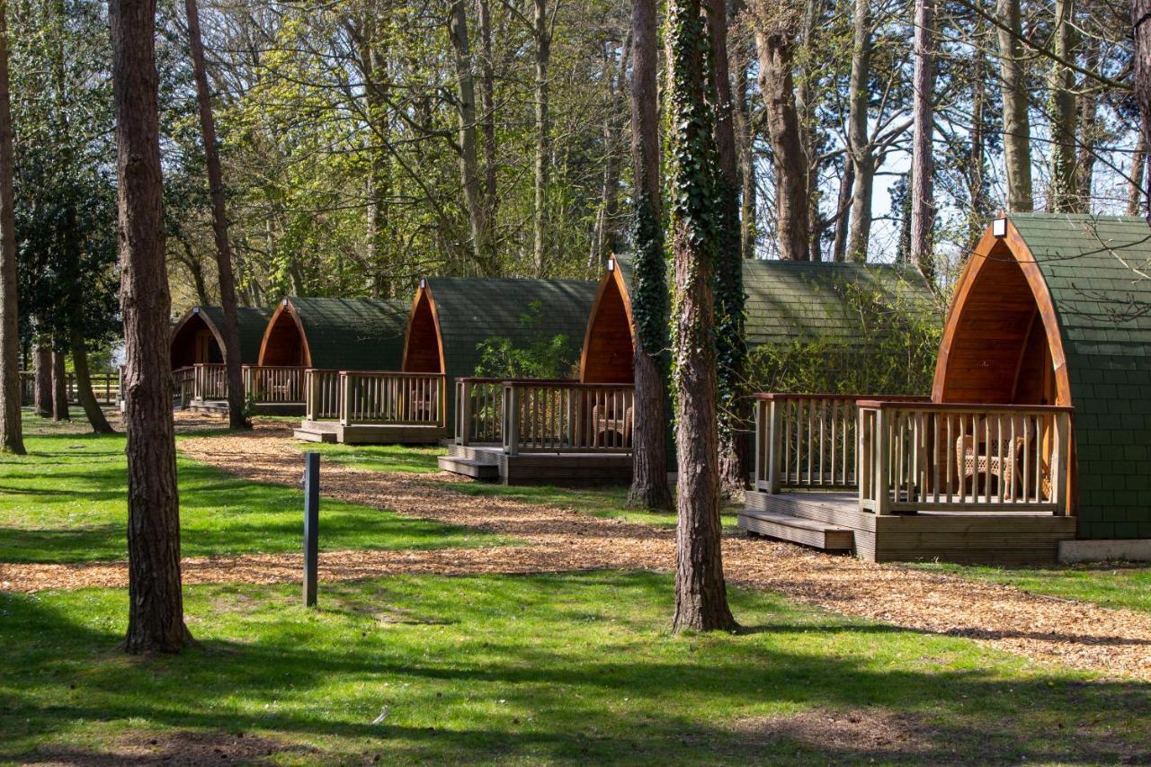 Pinewood - At Port Lympne Reserve Hythe  Exteriör bild